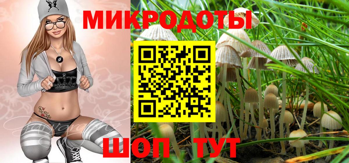 Топки  Галлюциногенные грибы Psilocybine cubensis  Вход с VPN 